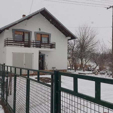 Moj Salas Novi Sad Eksteriør billede